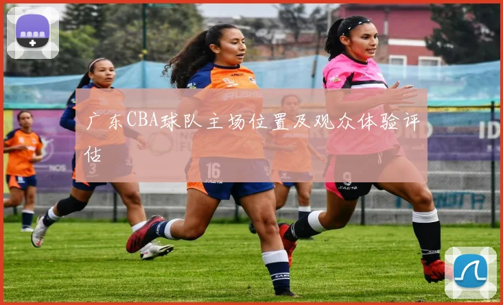 广东CBA球队主场位置及观众体验评估
