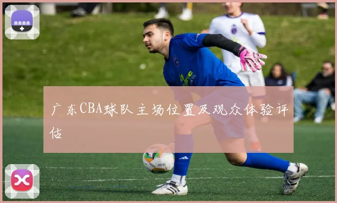 广东CBA球队主场位置及观众体验评估